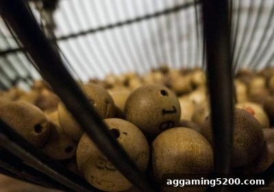 走地盘玩法深度解析：jdb电子假吗？真实风险与预算管理指南